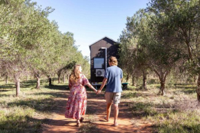 Olive Grove Retreat 2 by Tiny Away Lake Boga